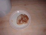 dscf0695.jpg