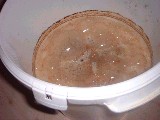 dscf0698.jpg
