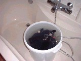 dscf1159.jpg