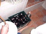 dscf1182.jpg