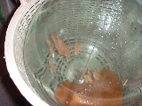 dscf1186.jpg