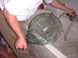 dscf1190.jpg