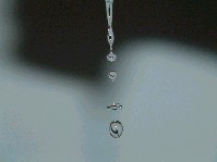 2002_1214_095722aa.jpg