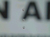 2002_1214_100212aa.jpg