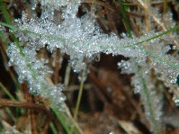 2002_1214_132808aa.jpg