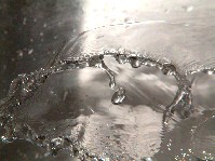 2002_1214_163356aa.jpg