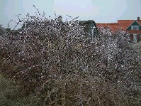 2002_1225_124217aa.jpg