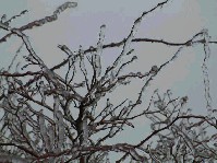 2002_1225_124255aa.jpg