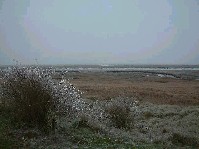 2002_1225_124512aa.jpg