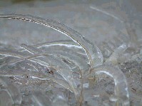 2002_1225_125912aa.jpg