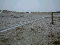 2002_1225_130056aa.jpg