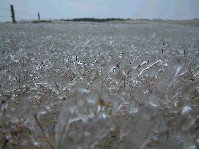 2002_1225_130232aa.jpg