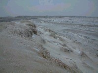 2002_1225_131542aa.jpg