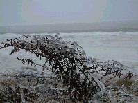 2002_1226_123640aa.jpg