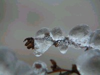 2002_1226_123858aa.jpg