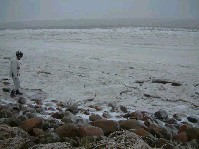 2002_1226_123926aa.jpg
