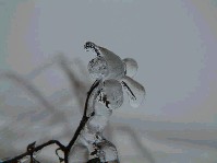2002_1226_124010aa.jpg