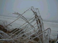 2002_1226_124046aa.jpg