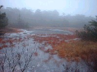 2002_1226_150630aa.jpg