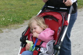 Klicken Sie auf das Bild, um es zu vergr&ouml;&szlig;ern