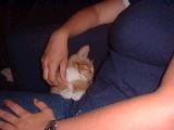dscf3277.jpg