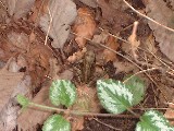 dscf3304.jpg