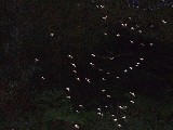 dscf2758.jpg