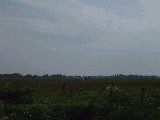 dscf2766.jpg