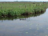 dscf2768.jpg