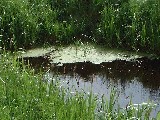 dscf2770.jpg