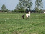 dscf2773.jpg
