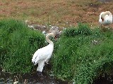 dscf2777.jpg