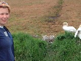 dscf2783.jpg