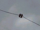dscf2796.jpg