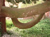 dscf2819.jpg