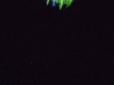 dscf2845.jpg