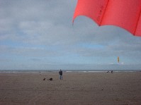 2004_0124_234738aa.jpg