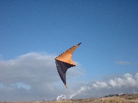 2004_0125_012919aa.jpg