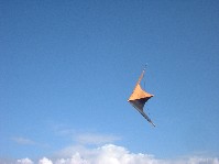 2004_0125_012933aa.jpg