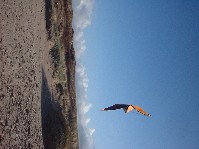 2004_0125_013043aa.jpg