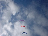 2004_0125_022352aa.jpg
