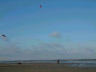 2003_0104_115444aa.jpg