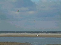 2003_0104_131204aa.jpg