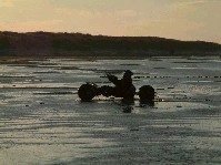 2003_0104_153828aa.jpg