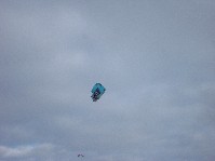 2004_0124_235318aa.jpg