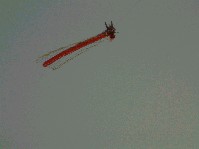 2003_0423_181008aa.jpg