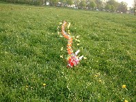 2003_0423_181248aa.jpg