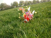 2003_0423_181302aa.jpg