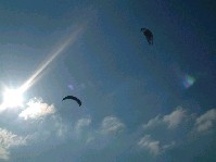 2003_0429ac.jpg