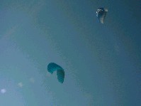 2003_0429ad.jpg